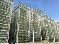 Système NFT d'agriculture hydroponique en serre pour la culture verticale de crabes et de légumes