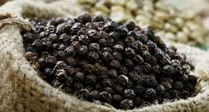 ผงพริกไทยดำอบแห้งเวียดนามเกรดดีกลิ่นหอม4% มาตรฐาน ISO 22000สำหรับเครื่องเทศปรุงอาหาร - Product Image 6