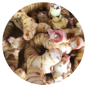 ข่าแช่แข็งสดเพื่อการส่งออกที่มีคุณภาพสูงในราคาที่แข่งขันได้ทำในเวียดนาม - Product Image 1