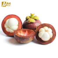 Zoete en voedzame biologische verse Thaise mangosteen, gezonde en verfrissende snack, kwaliteit A, 8 kg, Khey Taladthai