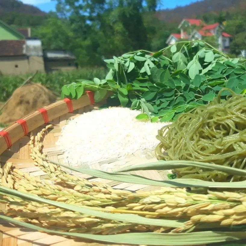 ベトナムの伝統的なヌードル-野菜のヌードル