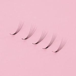 [BL LASH] Cils coréens 5D préfabriqués en éventail, fibres PBT coréennes, haute qualité, volume russe, courbures CC/DD, longueurs variées disponibles - Product Image 5