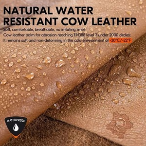 Haute qualité Durable pas cher taux hiver neige gants d'hiver chaud hommes coupe-vent imperméable pour gants de Ski Top qualité meilleur taux - Product Image 4