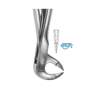 Fórceps de extracción de acero inoxidable de alta calidad Fig 14 exportadores y fabricante - Product Image 5