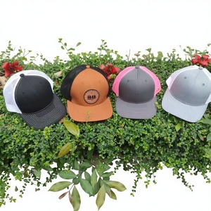 Gorra de Camionero Personalizada de Alta Calidad Injae Vina, 5 Paneles, Malla, Terciopelo, Lona, Bordado 3D, Unisex, para Exteriores, con Imagen D - Product Image 1