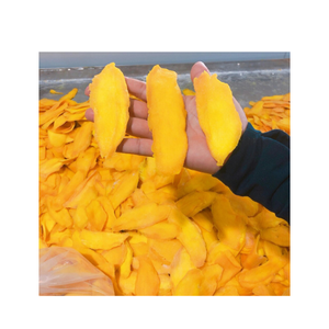 Aperitivo de frutas tropicales, rodajas de mango secas suaves y dulces naturales de Vietnam Farm, servicio de etiqueta privada, embalaje a granel - Product Image 1