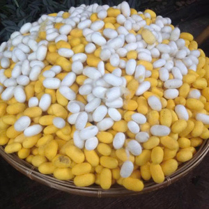 Bolas de algodón de capullo de seda suave para el cuidado de la piel, Natural EXFOLIANTE SUAVE, limpieza Facial, rutina de belleza, tratamiento de Spa y cuidado del hogar - Product Image 5