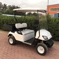 Voiturette de golf électrique mini 2 places à succès