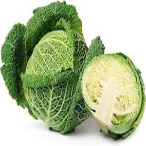 กะหล่ำปลีสดขมเล็กน้อยสำหรับการทำอาหารและอุตสาหกรรมในราคาขายส่ง - Product Image 3
