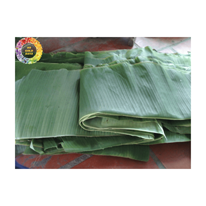 Feuille de bananier congelée pour emballer les aliments: 100% feuilles vertes fraîches, emballage personnalisé, approvisionnement en vrac, qualité supérieure - Product Image 6