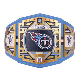 Custom Ronpex International Championship Belts for <b>Boxing</b> Taekwondo Wrestling-Brass & Leather Soft Unisex High Quality Pakistan - Product Image 1