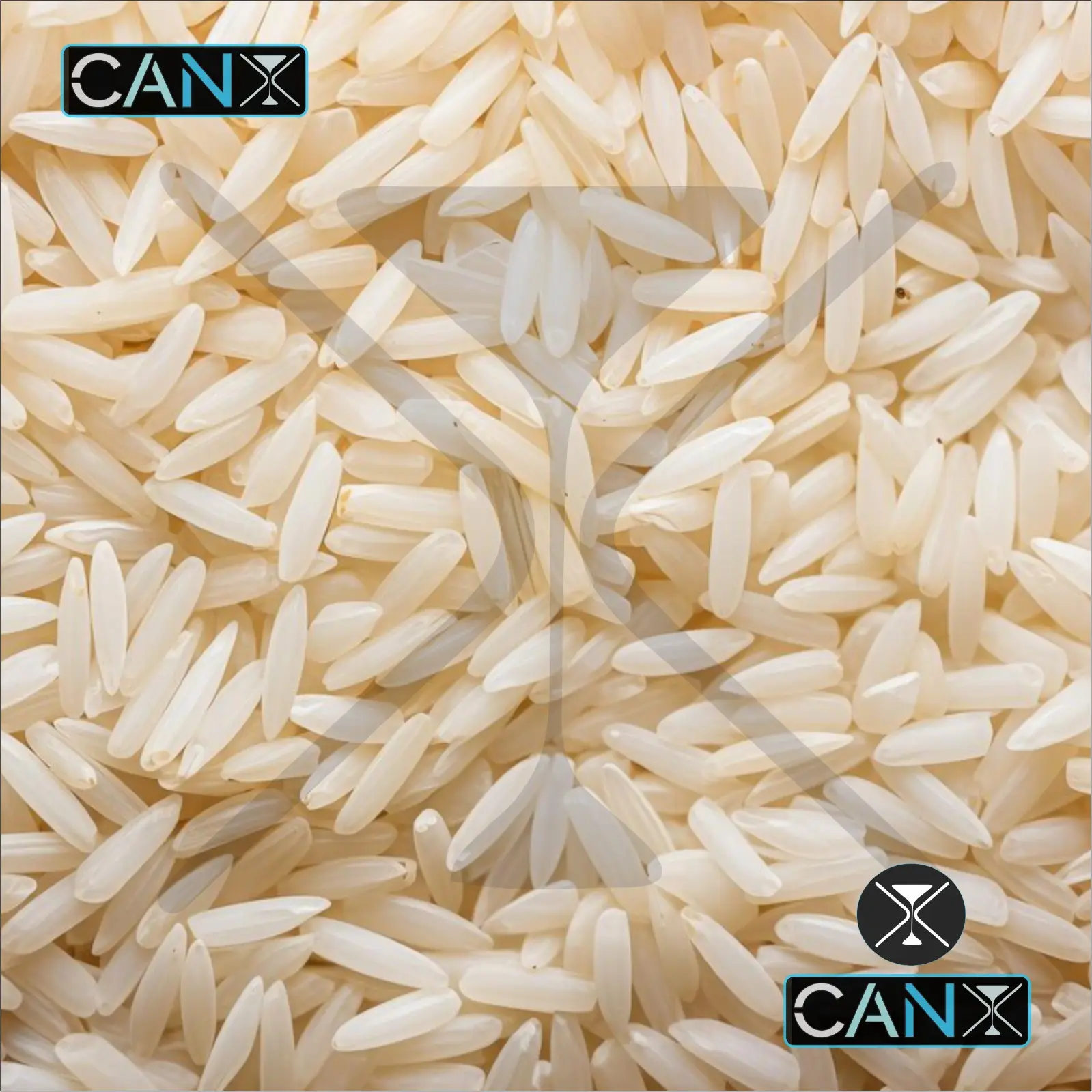 Vente chaude qualité d'exportation 1121 riz basmati blanc Sella disponible auprès du fournisseur indien