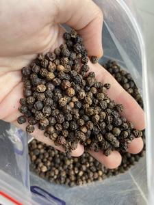 Pimienta Negra AD Seca 50 kg, Especias de Semillas Trituradas de Vietnam, Tipo de Procesamiento Crudo, Almacenamiento Vilaconic, 2 Años de Vida Útil - Product Image 2