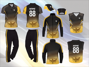 Tenue de sport formelle, uniforme d'équipe de cricket de qualité supérieure dans de belles couleurs avec des fonctionnalités de personnalisation - Product Image 3
