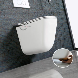 Achat en gros de toilettes murales pour gîtes Tornado, design moderne et élégant pour toilettes beiges et toilettes vitrées - Product Image 1