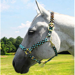Sangle confortable pour cheval avec boucle dorée et design anatomique du cheval - Product Image 3