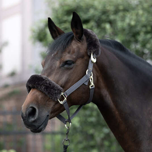 Cabestros de caballo de cuero estilo sillín inglés recién llegado de la mejor calidad, cabeza de nariz acolchada ajustable suave y cómoda - Product Image 3