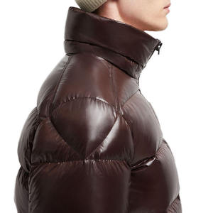 Chaqueta Acolchada Unisex de Lona Brillante con Capucha Desmontable, Abrigo de Invierno Aislante, Prenda Exterior Brillante con Logotipo Frontal, Resistente al Viento - Product Image 4