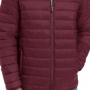 Chaqueta Acolchada con Cremallera Delantera para Hombre, Ropa de Invierno, Estilo Casual, Chaqueta Ligera para Hombre, Chaqueta Acolchada de Longitud Regular - Product Image 4