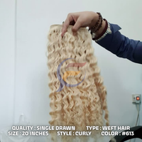 Extensions de cheveux bouclés blonds de luxe, double trame, qualité supérieure, permanentes, super double drawn, cuticules alignées, Remy, cheveux vierges indiens