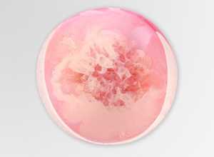 ชามเรซินทำมือคุณภาพสูงทำจากไม้ขัดสูงเสิร์ฟซุปก๋วยเตี๋ยวเครื่องครัวจานข้าวทำด้วยมือ - Product Image 2