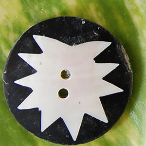 กระดุมเปลือกหอยจากศิลปะบาหลีเครื่องประดับกระดุมกระดุมดิบมีลวดลายกลม - Product Image 3