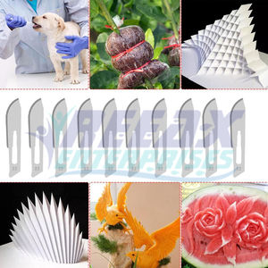 REEAX ENTERPRISES, cuchillos quirúrgicos de acero inoxidable hechos a mano, hoja, servicio OEM, suministro al por mayor, buena base, instrumentos quirúrgicos - Product Image 6