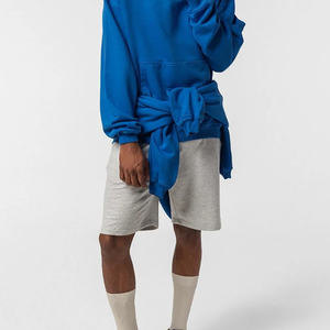 Pull-over à capuche vierge en gros Sweat-shirt en molleton de coton bleu royal Logo personnalisé OEM ODM - Product Image 2