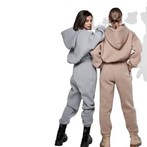 Otoño Invierno clásico Casual cremallera señoras Jogger 2 piezas Yoga Fitness ropa chándal Jogging deporte traje mujer pista - Product Image 3