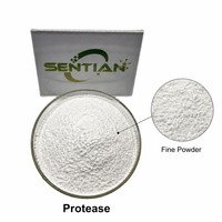 Poudre d'enzyme subtilisine de qualité alimentaire 200 000 U/g pour la hydrolyse des protéines