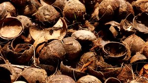 [OFERTA] Carbón Activado (a Base de Cáscara de Coco) para Exportación, Alta Calidad, Grado Superior, Precios Competitivos, Gran Cantidad - Product Image 4