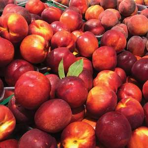 Organic Chilean Nectarines for Export Multiple Varieties with Sweet Flavor Fresh and Cold Chain Guaranteed - Product Image 4