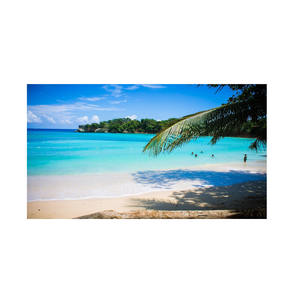 Bûches de bois de hêtre de qualité supérieure en vrac disponibles à des prix avantageux avec des offres de construction concurrentielles - Product Image 5