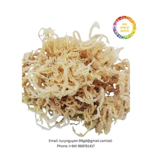 Algas marinas Cottonii de Grado Superior cosechadas frescas, cuidadosamente secas, el mejor precio al por mayor, entrega rápida desde Vietnam - Product Image 3
