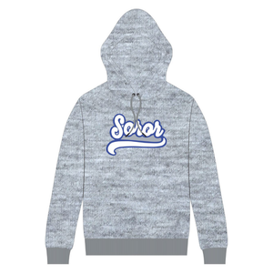 Sweat à capuche gris chiné 20 Zeta Phi Beta Soror, inspiré des fondatrices de 1920, sororité grecque, femme d'honneur, vêtements en coton de qualité supérieure - Product Image 1