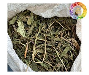 ชาใบดอกแดนดิไลออนแบบแห้งพรีเมี่ยมสมุนไพรใบและรากของดอกแดนดิไลอันบริสุทธิ์ชาใบหลวมคุณค่าทางโภชนาการสูง - Product Image 1