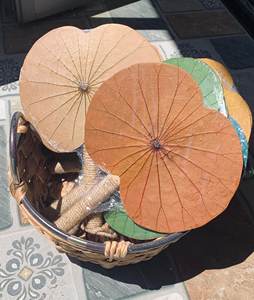 พัดลมใบบัว2024จากวัสดุธรรมชาติทนทานงานฝีมือที่เป็นมิตรกับสิ่งแวดล้อม - Product Image 4