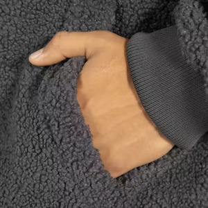 New Arrival 2025 Stylish Custom Made <b>Sherpa</b> Teddy Fleece Long Sleeves Breathable <b>Pullover</b> High Quality <b>Wholesale</b> hoodie For Mens - Product Image 6