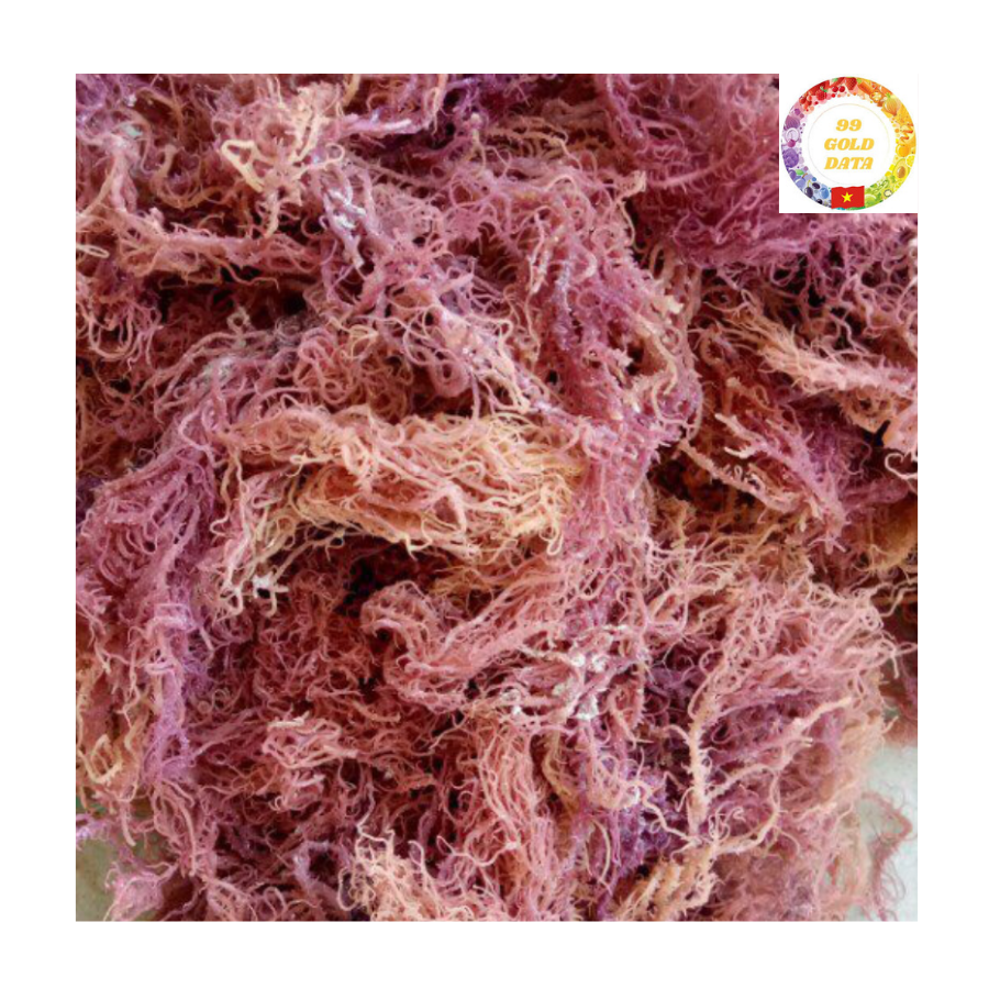 Вьетнамские сушеные водоросли Eucheuma Cottonii 100 процентов органический морской мох натуральный источник коллагена для кожи и здоровья