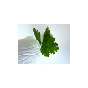 Cilantro deshidratado de alta calidad Especias secas Color natural Semilla Hierba Hoja en polvo Directo al por mayor del fabricante de China - Product Image 1