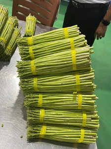 Asperges Verts Frais - Tranches d'asperges tendres - Jeunes pousses d'asperges - Product Image 2