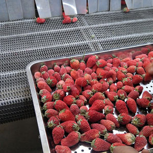 Máquina de Congelación Rápida de Lecho Fluidizado IQF de Sanshon Food Industrial, Motor para Restaurante, Albaricoque, Uva, Higo, Alta Precisión - Product Image 5