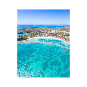 Grandes quantités de bûches de hêtre de qualité supérieure pour les besoins de construction et d'artisanat du bois - Product Image 5