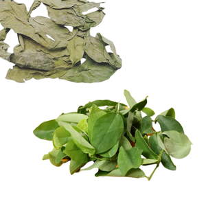 Venta caliente hoja dulce seca de calidad superior en forma de polvo al por mayor a granel mejor precio para uso alimentario - Product Image 2