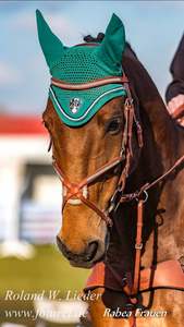 GLOW 2 rangées CLEAR Crystal BLING German Comfort Poll Grackle Figure 8 Bridle - Product Image 5