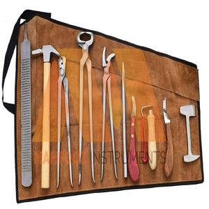Kit de 10 Herramientas para el Cuidado de Pezuñas de Caballos con Bolsa de Transporte, Instrumentos Quirúrgicos, Instrumentos Ortopédicos - Product Image 1