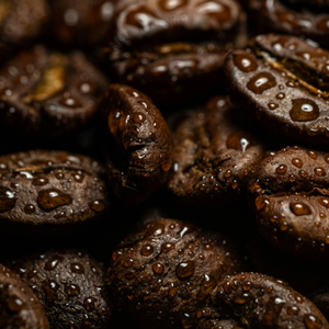 100% grains de café vert Arabica de qualité supérieure pour l'exportation et la vente en gros de grains de café torréfiés Arabica de qualité lavée - Product Image 3