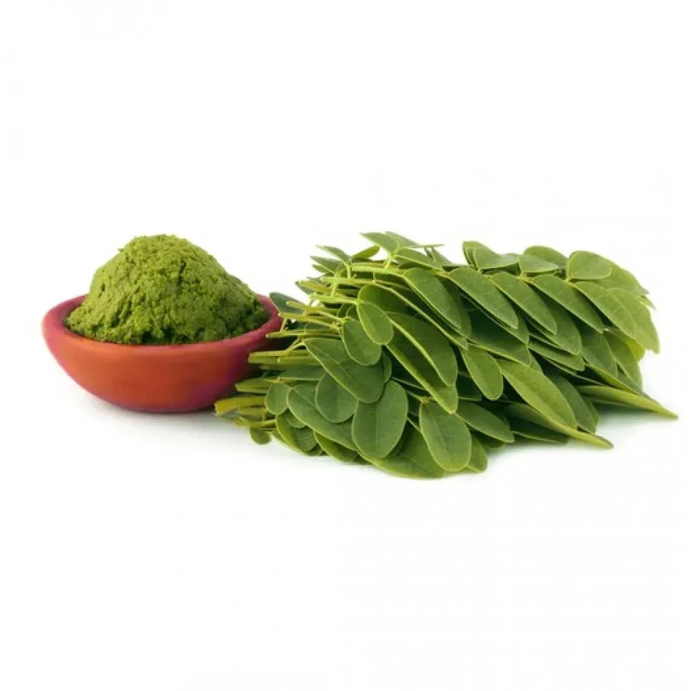 Suppléments à base de plantes biologiques Poudre de moringa naturelle de bonne qualité à prix premium Bon pour les patients avec sucre Riche en vitamines Personnalisé