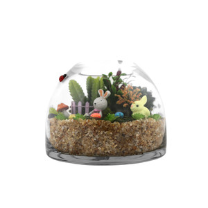 Vase en verre courbé WGV International VBC0806 - Design contemporain fait main, transparent, hauteur 5,7 cm, diamètre 200 mm - Product Image 2