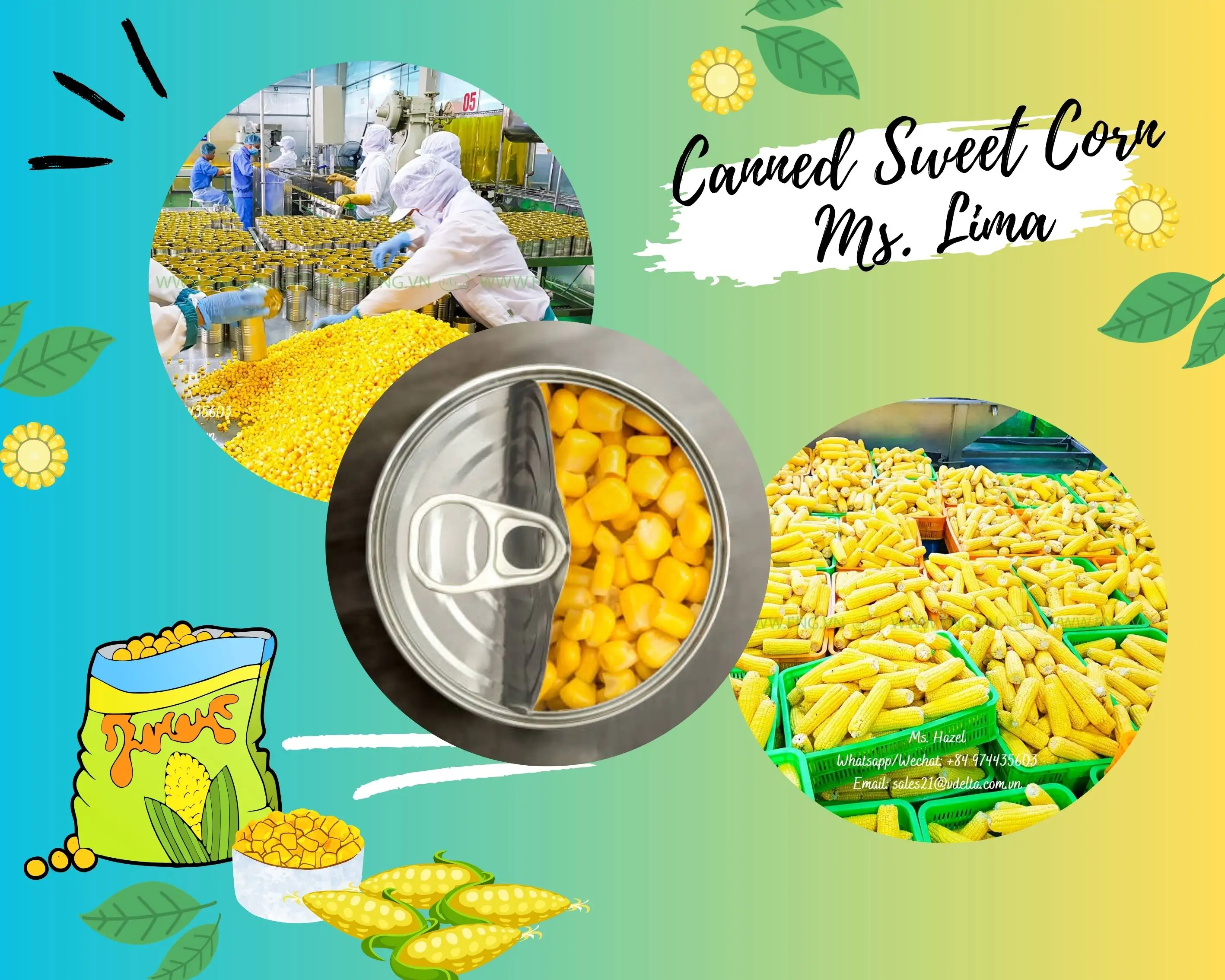 Jagung manis kaleng jagung kaleng 20 oz/MR Lucas + 84396510330